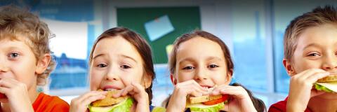 Meal Program in Schools