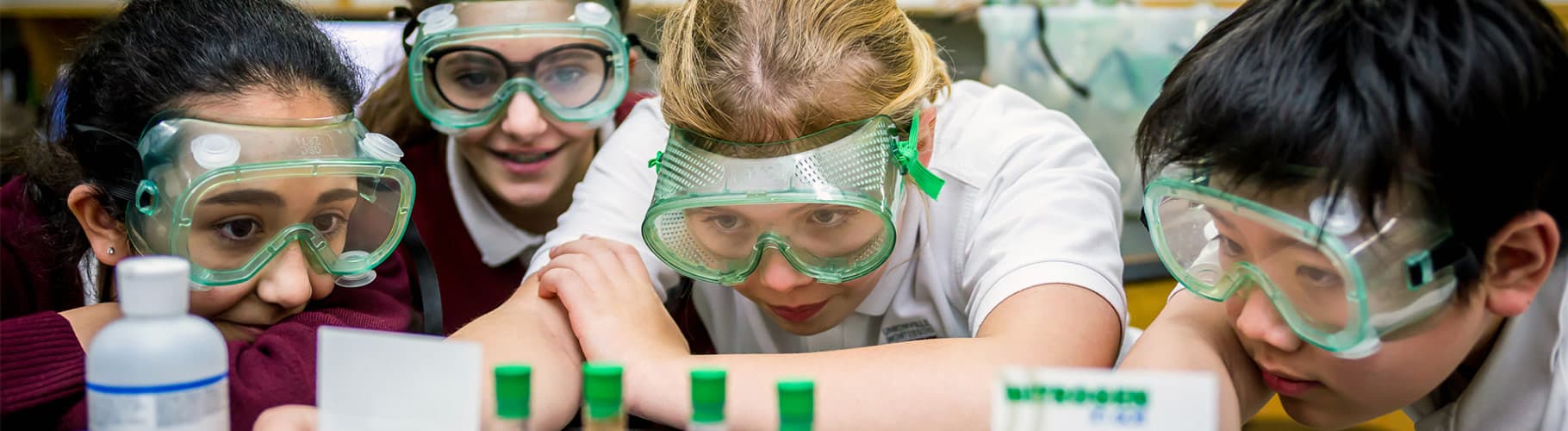 Elementary school programs in Markham